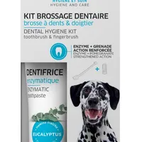 Francodex Dental Kit zubní pasta a kartáček pro psy