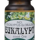 Saloos 100% přírodní esenciální olej Eukalypt