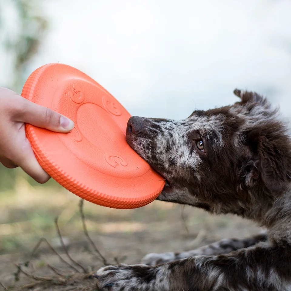 Akinu AQUA pěnové frisbee pro psy malé oranžové 17 cm 