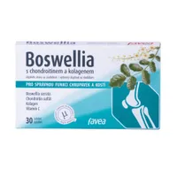 Favea Boswellia s chondroitinem a kolagenem