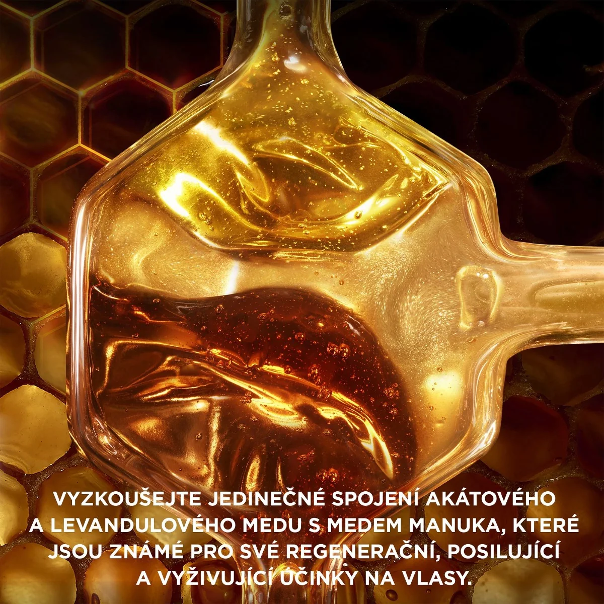 Garnier Botanic Therapy Honey Treasures šampon na poškozené vlasy 250 ml