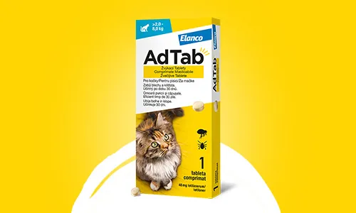 AdTab Žvýkací tablety pro kočky - účinnost proti klíšťatům a blechám.