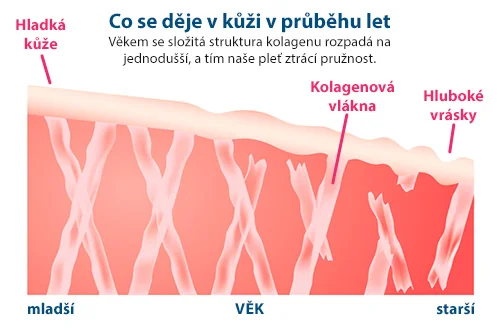 Peptan® a jeho vliv na kvalitu vlasů, nehtů a svalů