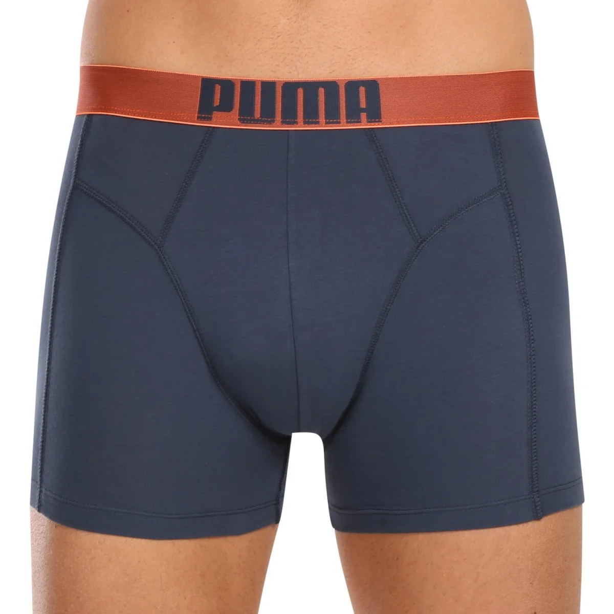 Puma 2PACK pánské boxerky vícebarevné (701223661 003) M 