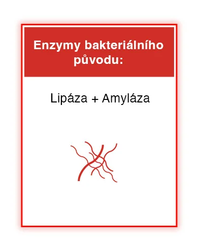 Wobenzym. Enzymy bakteriálního původu. Lypáza + Amyláza