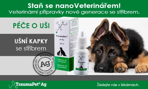 Staš se nanoveterinářem. Veterinární přípravky nové generace se stříbrem. Péče o uši. Ušní kapky se strříbrem.