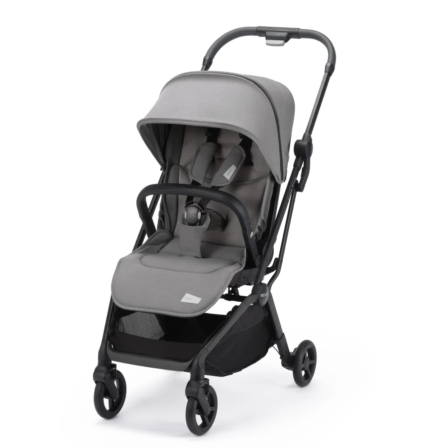 Recaro Sportovní kočárek Lexa Elite 2024 Silent Grey 