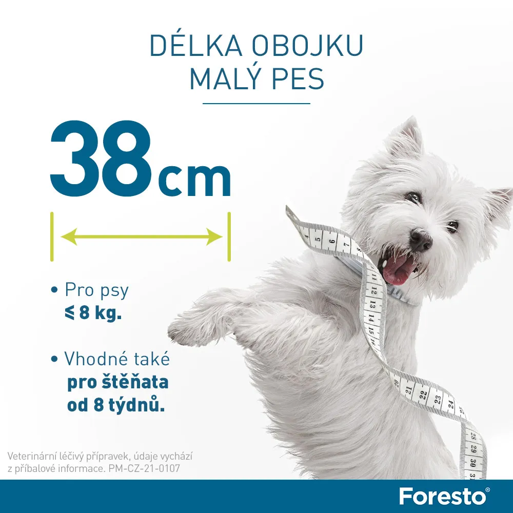 Foresto 1,25 g + 0,56 g obojek pro kočky a psy do 8 kg 38 cm 1 ks