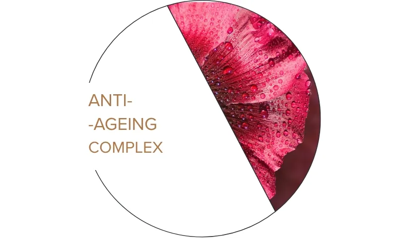 ANTI-AGEING COMPLEX  Komplexní péče napomáhá zpomalení procesů stárnutí pleti a zvyšuje její pevnost a pružnost. Maximálně efektivní koncentrace látek pokožku hydratuje a dodává jí potřebné živiny.