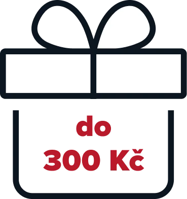 Dárky pro muže do 300 Kč