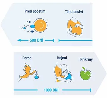 Před početím. Doporučuje se proto navýšit příjem prospěšných bifidobakterií. Zkuste probiotika z řady Linex® vhodná pro dospělé včetně těhotných. 