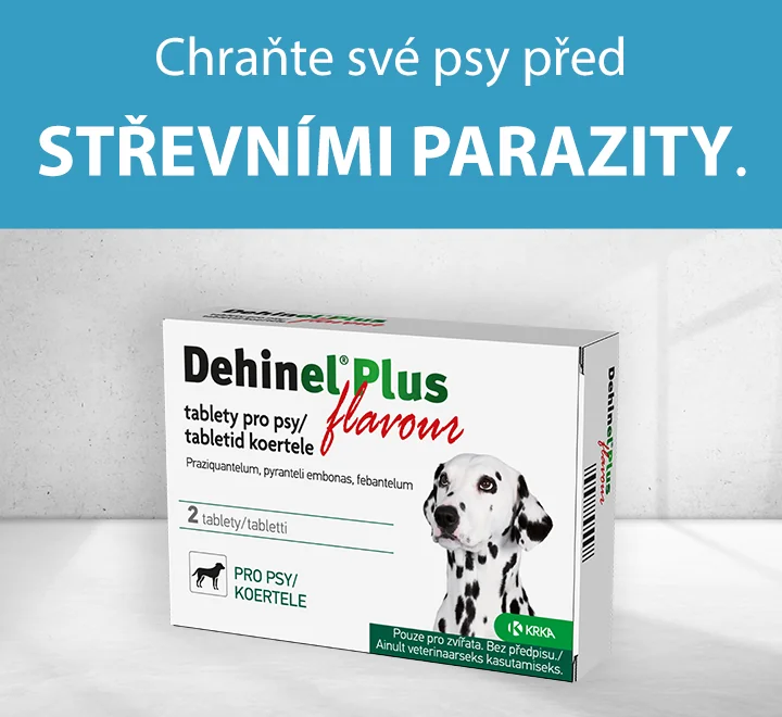 Chraňte své psy před střevními parazity. Dehinel.