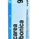 Boiron CALCAREA CARBONICA CH9 granule 4 g