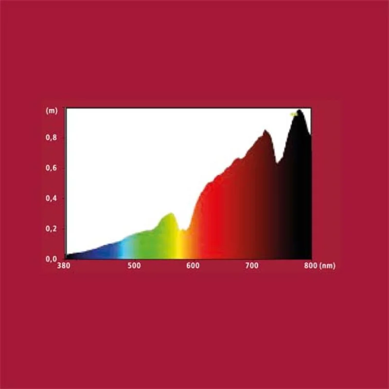 Hobby Sunlight ECO 42W -imitace slunečního světla 