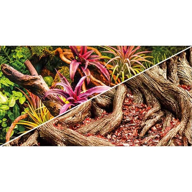 Hobby Pozadí oboustranné Jungle / Strangler Fig 50cm x 25m 