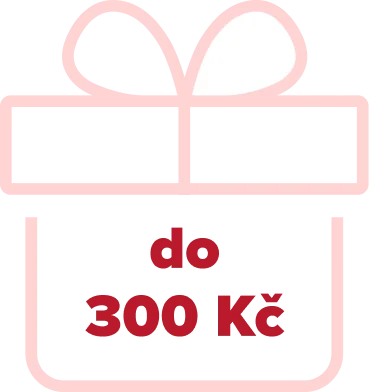 Dárky pro ženy do 300 Kč