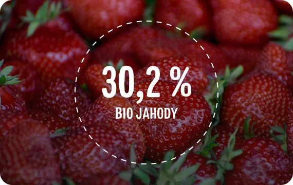 Good Gout BIO Jahodová snídaně 6m+ kapsička 70 g