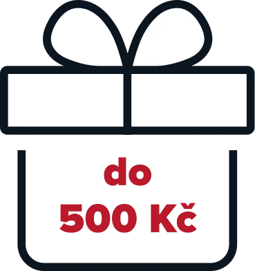 Dárky pro muže do 500 Kč