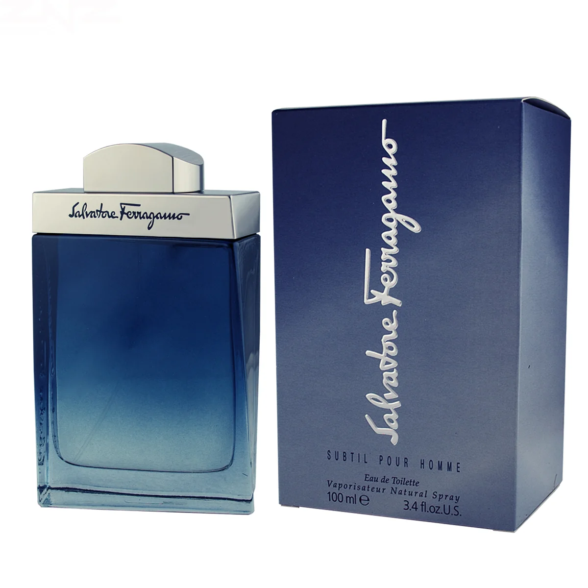 Salvatore Ferragamo Salvatore  Subtil pour Homme EDT 100 ml M