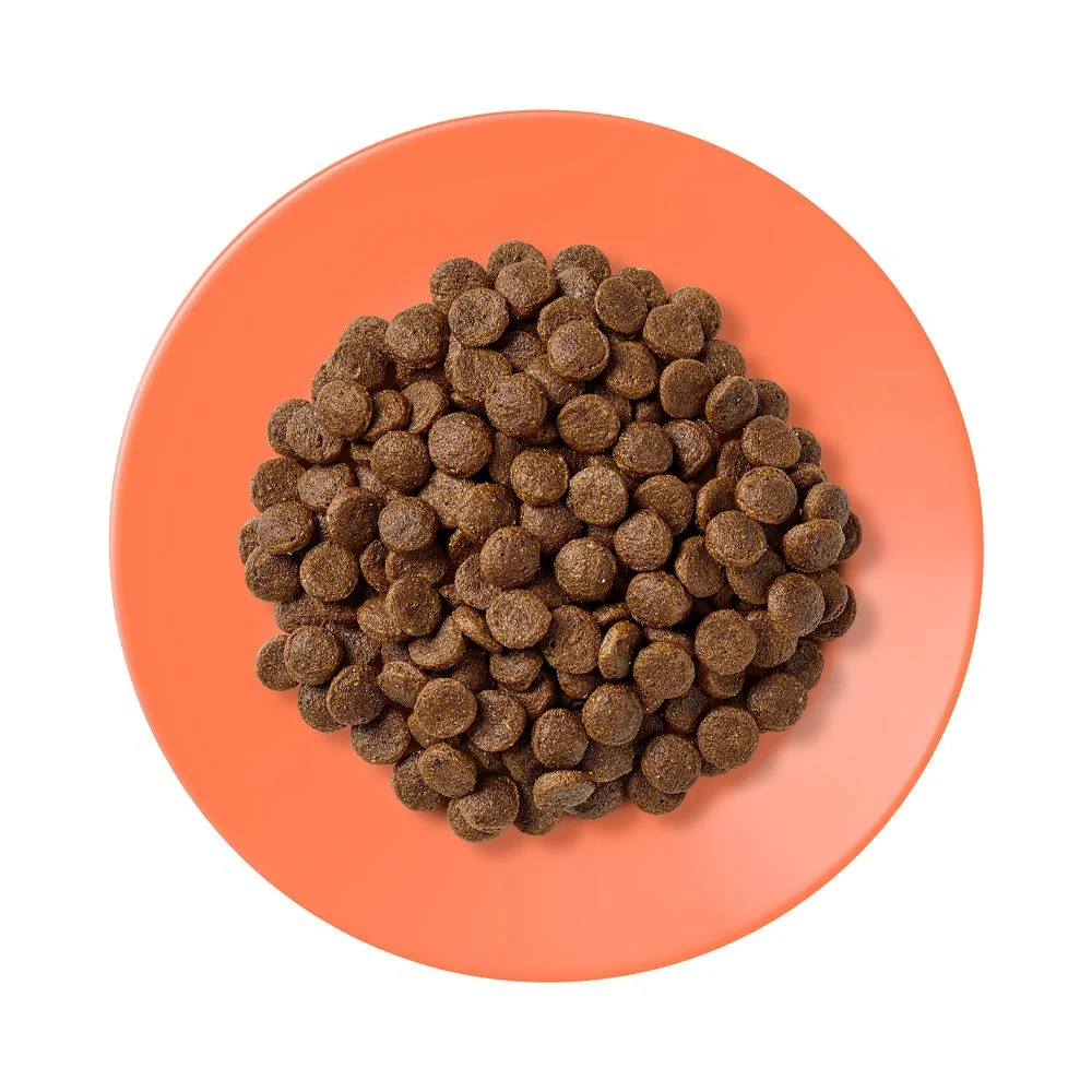 Applaws Cat Adult Kuře s Lososem granule 2 kg