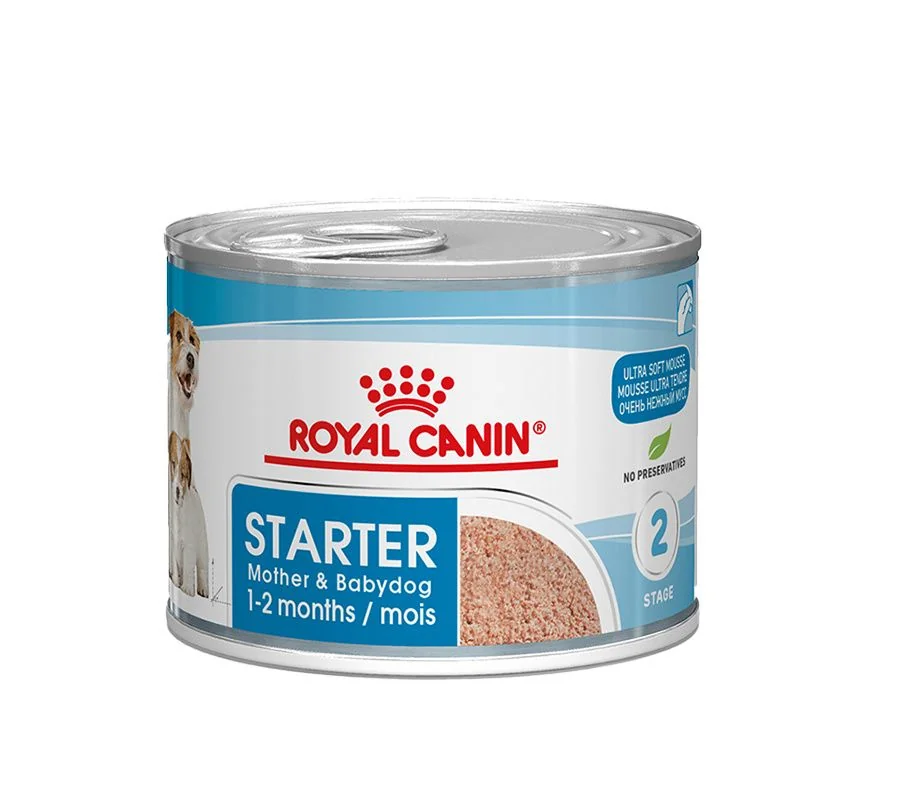 Royal Canin Mini starter mousse konzerva 195 g