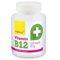 Wolfberry Vitamín B12