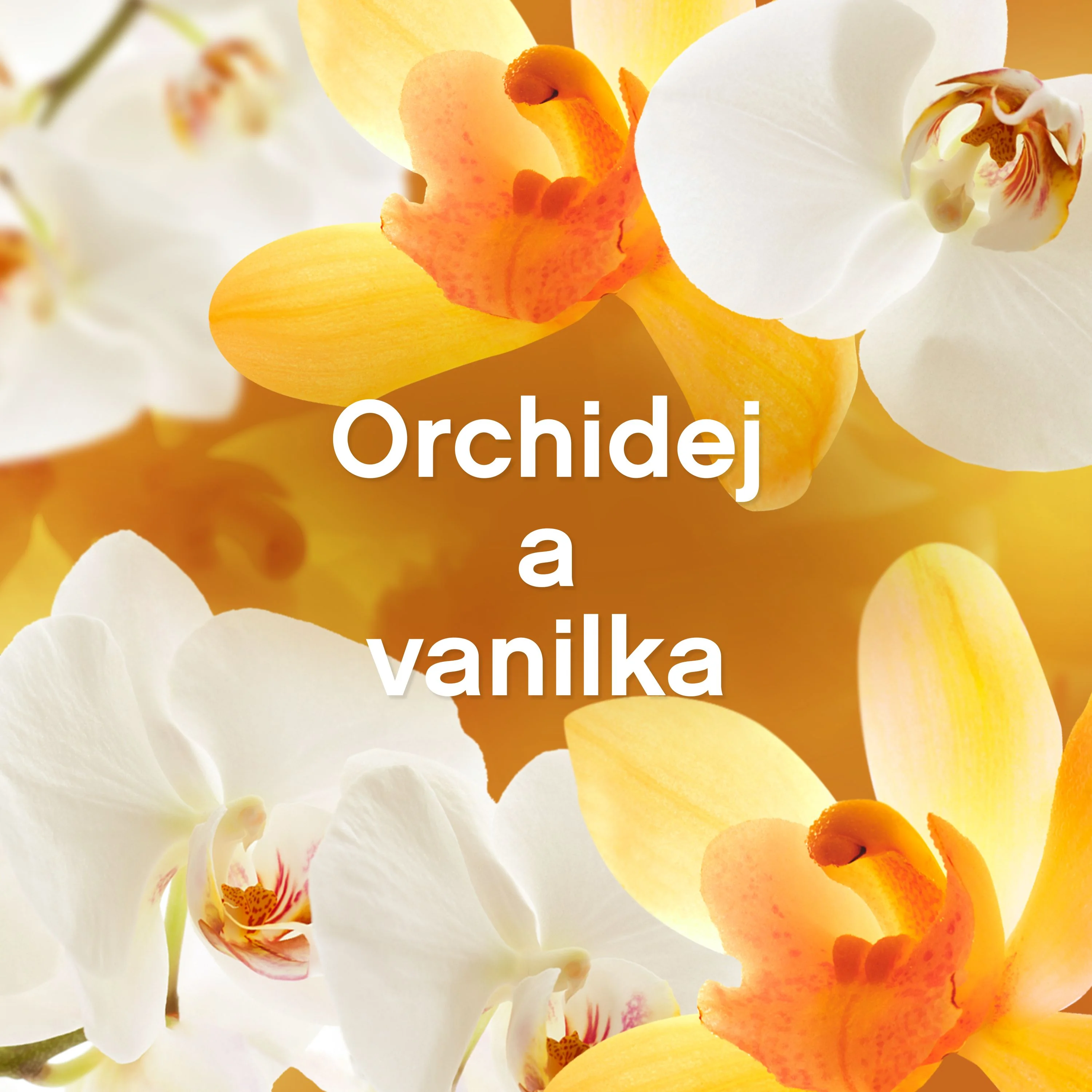 Lenor Aviváž Orchid&Vanilla 2x1,2 l 96 praní