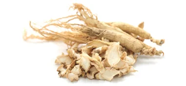 ŽENŠEN PRAVÝ (Panax ginseng)