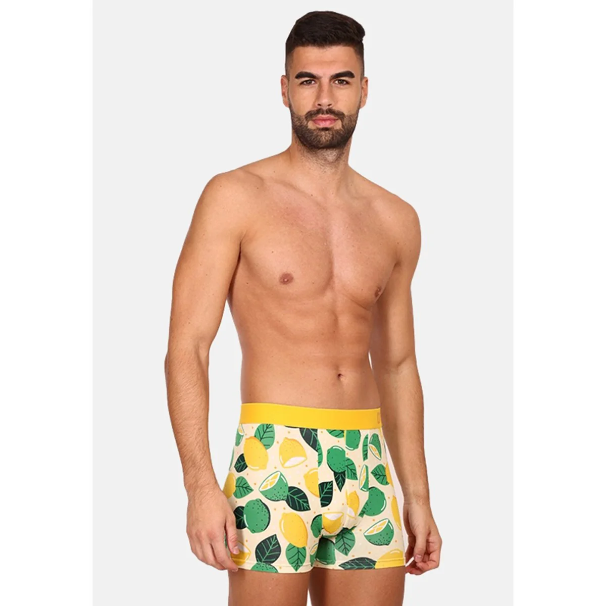 Dedoles Veselé pánské boxerky Limetka a citrón (D-M-UN-T-C-C-1563) XL 