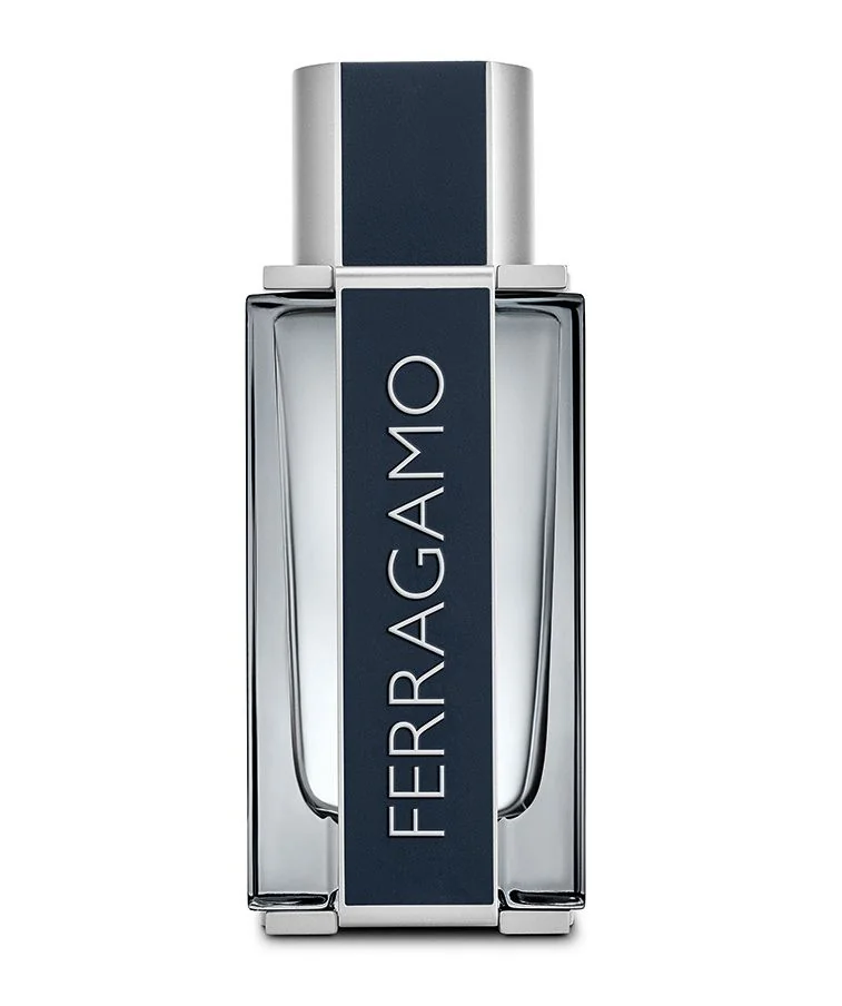 Salvatore Ferragamo Pour Homme Ferragamo toaletní voda pro muže 100 ml