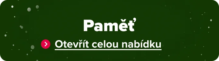 Paměť