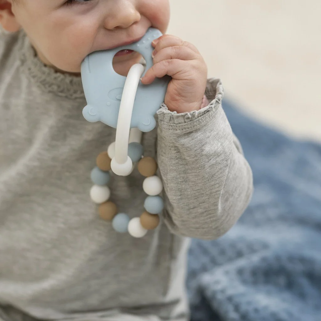 Nattou Kousátko silikonové BPA free Lapidou macko modrá 