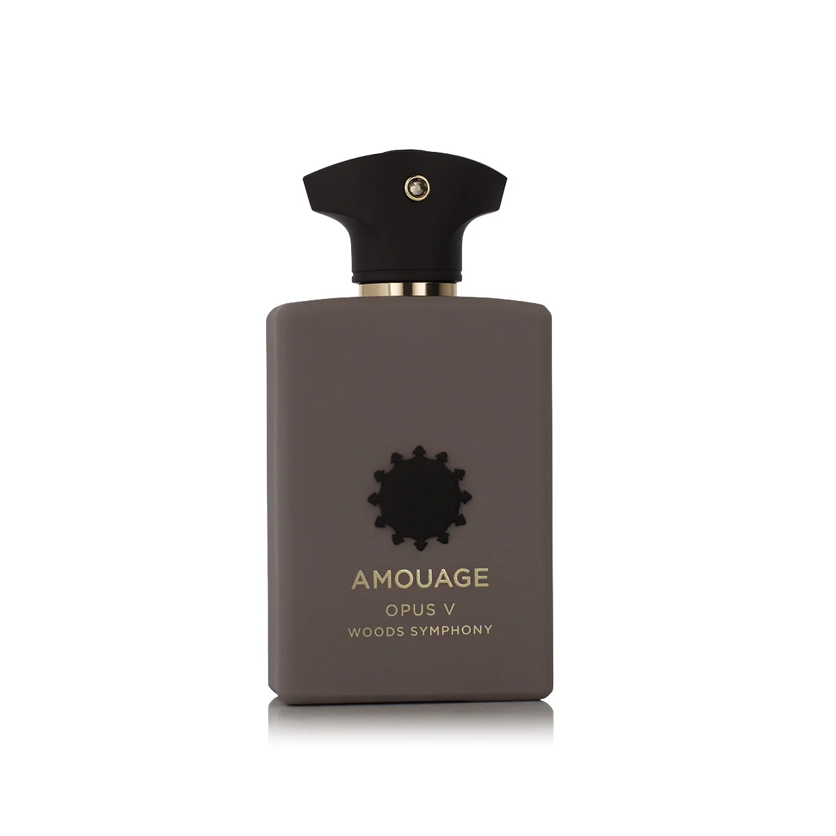 Amouage Opus V – Woods Symphony EDP 100 ml UNISEX