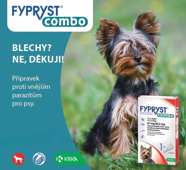 Blechy? Ne, děkuji. Fypryst combo. Přípravek proti vnějším parazitům pro psy.