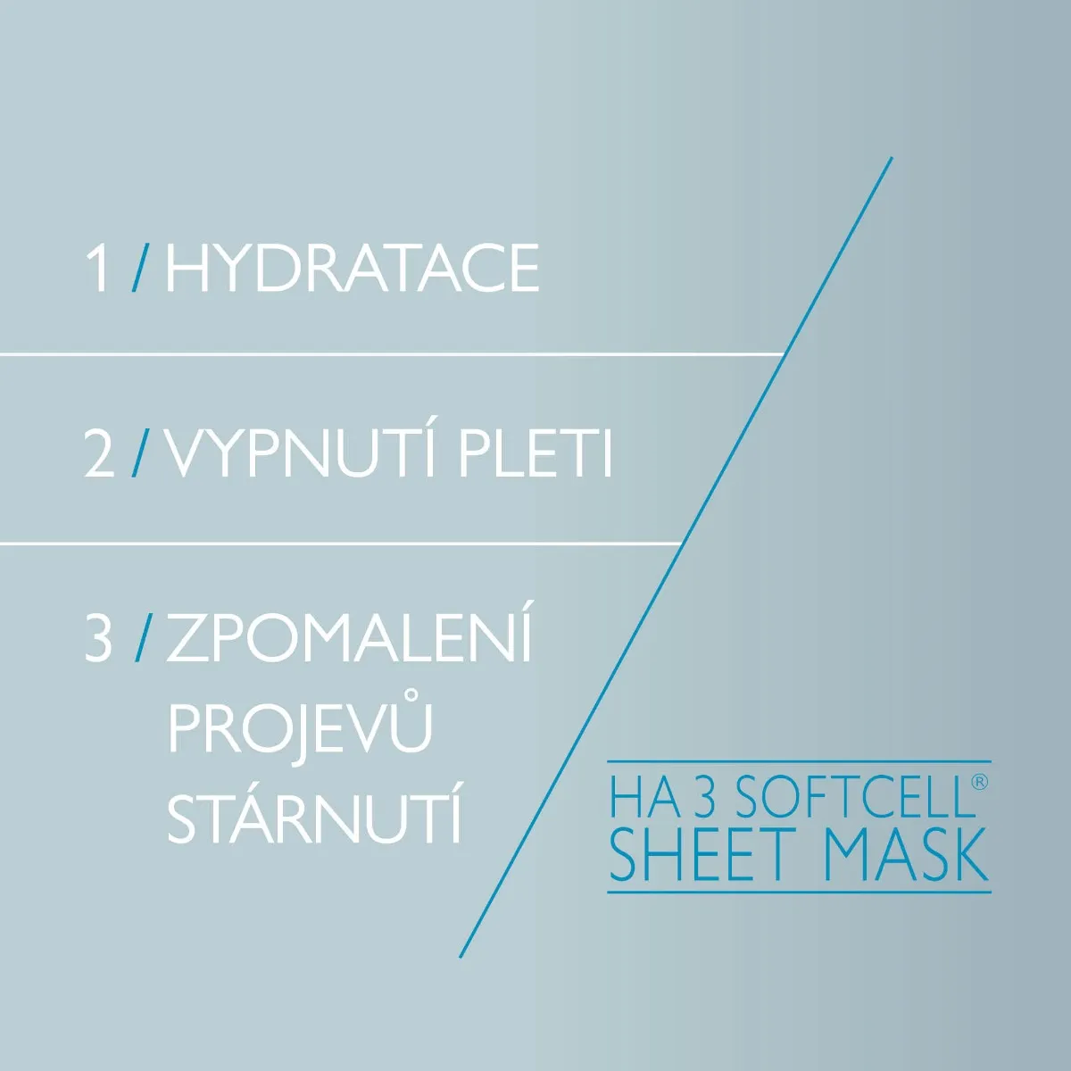 Nuance Hyaluron Active Sheet Mask pleťová maska 1 ks