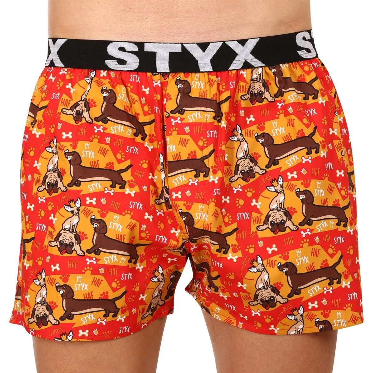 Styx 3PACK pánské trenky art sportovní guma vícebarevné (3B13497) L 