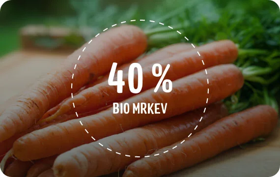 Good Gout BIO Pyré z máslové dýně a mrkve 6m+ 2x190 g