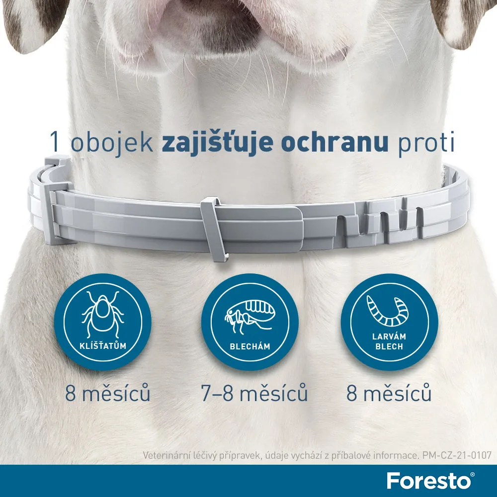 Foresto 1,25 g + 0,56 g obojek pro kočky a psy do 8 kg 38 cm 1 ks