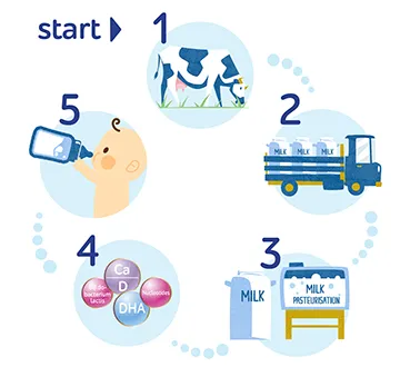 Výrobní proces mléka Bebelo