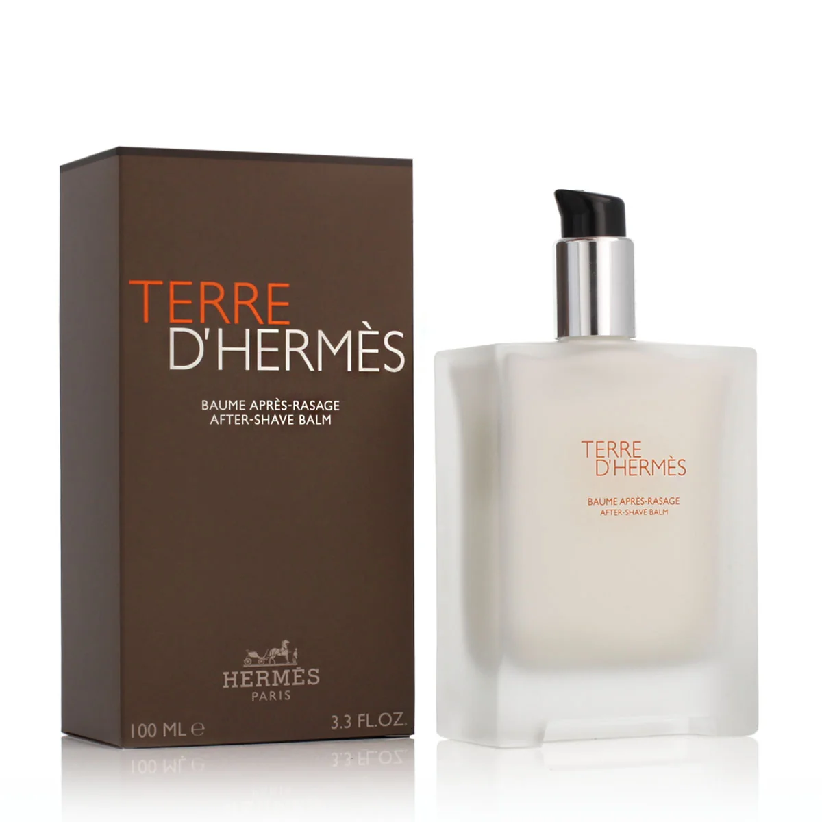 Hermès Terre D' ASB 100 ml M (Nový obal)