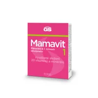 GS Mamavit 1 Plánování a 1. trimestr