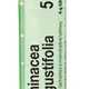 Boiron ECHINACEA ANGUSTIFOLIA CH5 granule 4 g