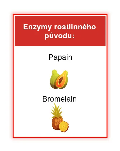 Wobenzym. Enzymy rostlinného původu. Papain. Bromelain.