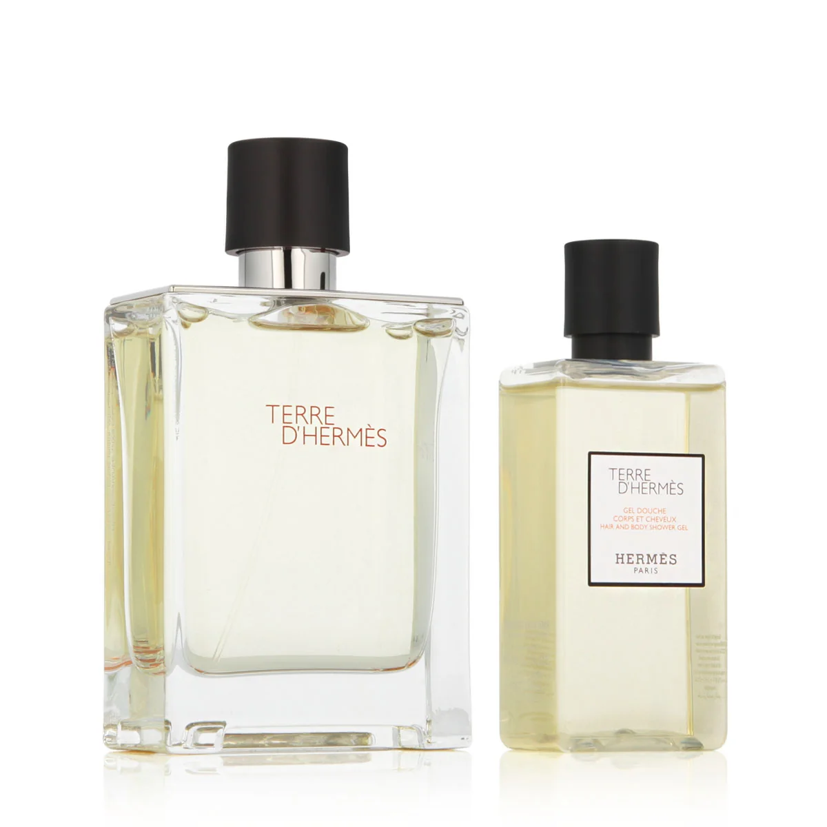 Hermès Terre D' EDT 100 ml + SG 80 ml M (Travel Edition)