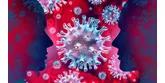 Koronavirus – 10 faktů, které by měl každý znát