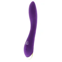 Healthy life Vibrator Rechargeable purple 0601570405