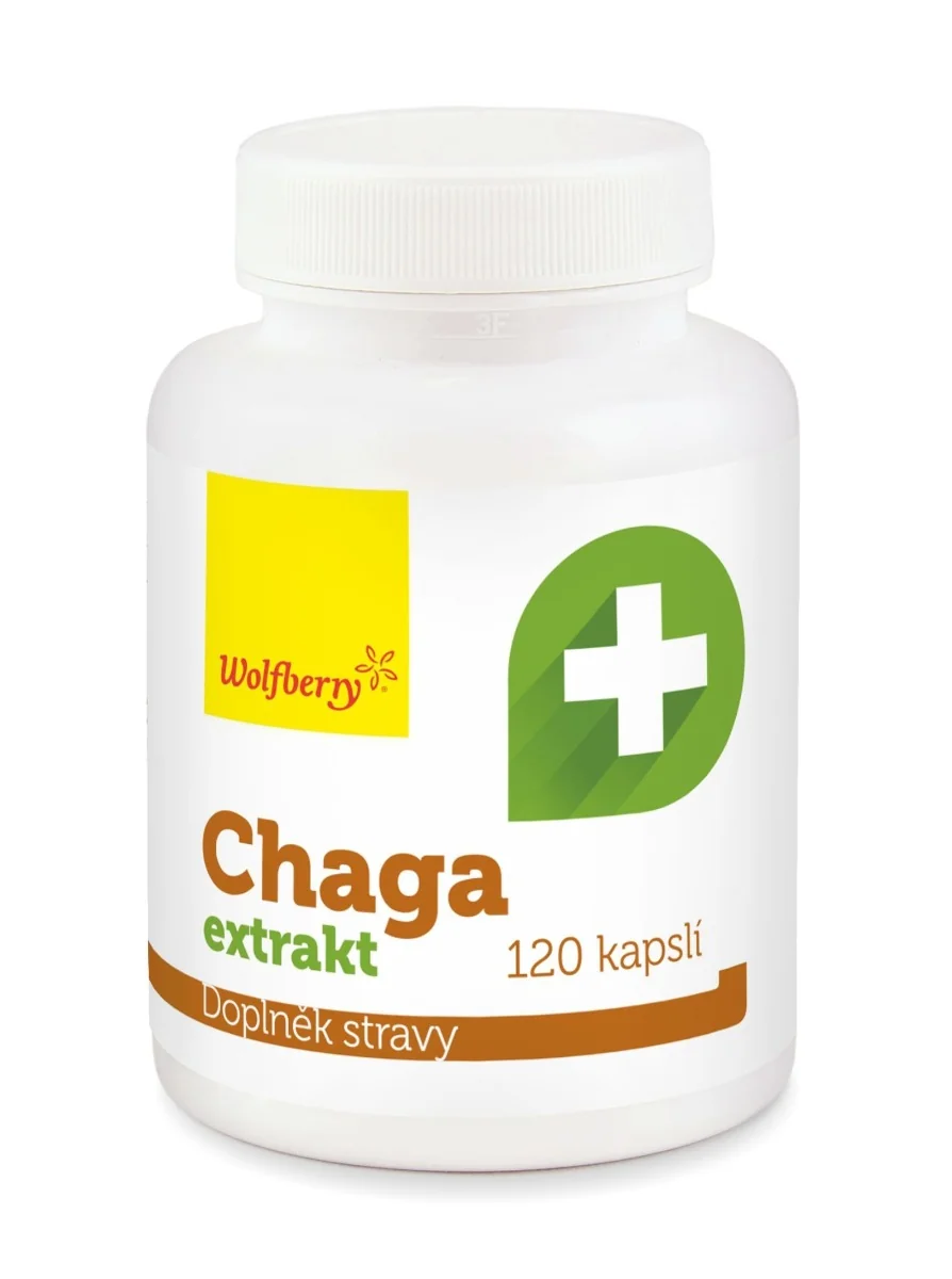 Wolfberry Chaga extrakt 120 kapslí