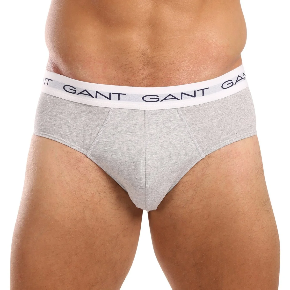 GANT 3PACK pánské slipy vícebarevné (900013001-093) L 