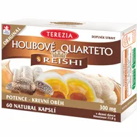 Terezia Houbové Quarteto s reishi