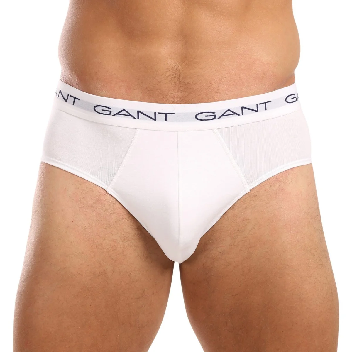 GANT 3PACK pánské slipy vícebarevné (900013001-093) L 